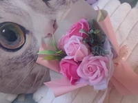 花言葉🌸
