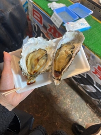 ことねの小言❣️