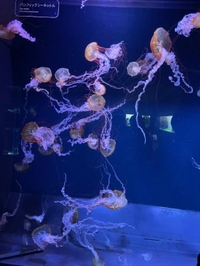 💕本日18時〜23時出勤