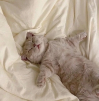 完売ありがとう💖