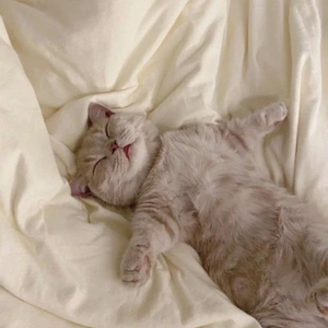 完売ありがとう💖