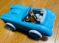 ついについに！！！