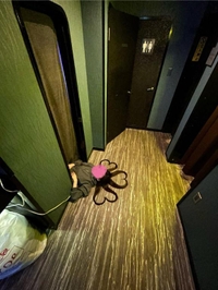 帰りましたよ！