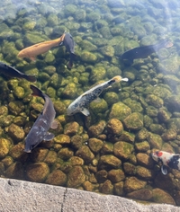 明日18時までになったよ‼️