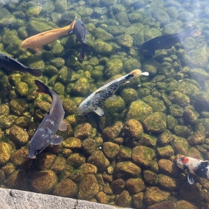 明日18時までになったよ‼️