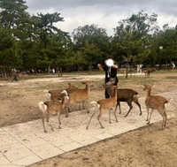 こんな奇跡ある？😳🌟