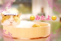 みたよ(*ˊ˘ˋ*)♡