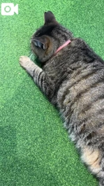 ご予約ありがとうございます😭