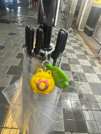 出勤しました∠(｀･ω･´)ﾋﾟｼｯ