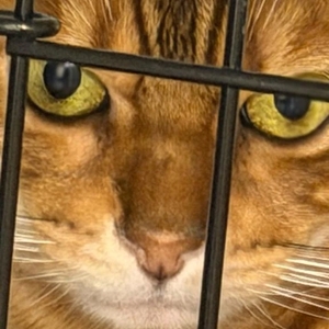 ありがとう💗💗💗