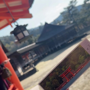 "ひなた"ぼっこ