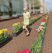 チューリップ🌷🤍