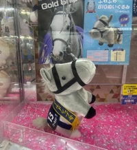 姫納めした？♡