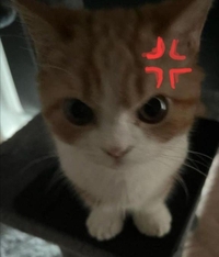 出勤