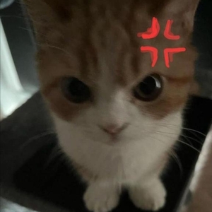 出勤