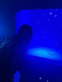 満足デー( ¨̮ )✌🏻