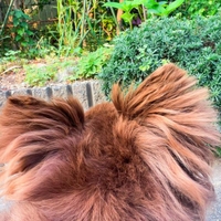 『桜衣の大きいお目が・・・』