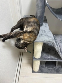 お休み🙆‍♀️