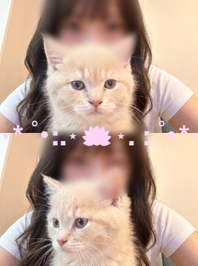にゃにゃん🐈