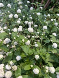 変更のお知らせ⋆͛📢⋆