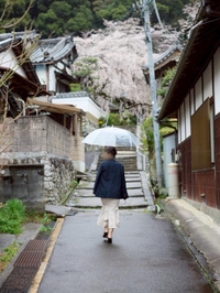 雨