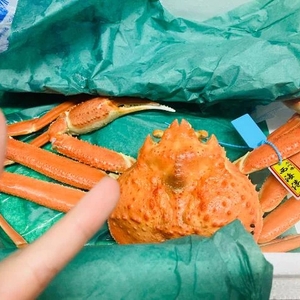 わぁーい🦀✨