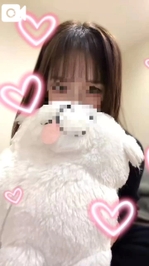可愛いぬいとTIKTOK♥️