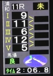 ネネちゃんは地方競馬もやるの？