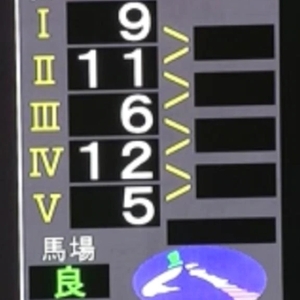 ネネちゃんは地方競馬もやるの？