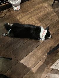 すみませんお休みします