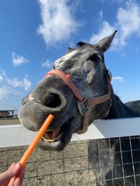 [お題]from:リョコースキーさん