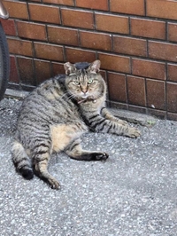 それはＮＯです❌