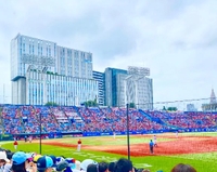 💗神宮現地💗