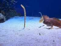 風が強いね( ˙꒳​˙  )🌀🍃