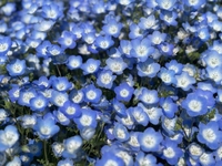 本日、明日出勤します♪