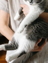 ポカポカの秘密?