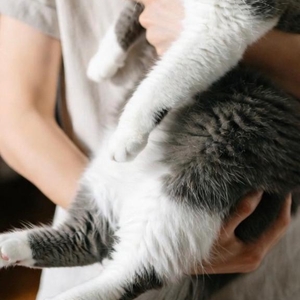 ポカポカの秘密?