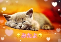 みたよ(*ˊ˘ˋ*)♡