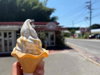 夏休み〜♡