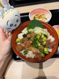 おねがい🪄