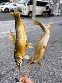 トゥデイも鮎の塩焼き♡♡