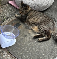 みたよ／シフト