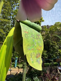 ５月ラスト
