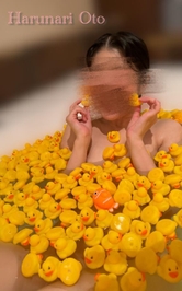 嫌い・苦手な教科は？