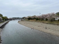 早退しました🥺💦