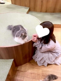 例えるなら。？