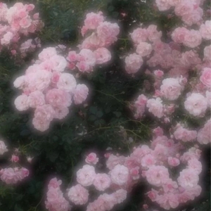 お休みについて。