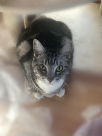 ( ･´ｰ･｀)ﾄﾞﾔｧ✨️