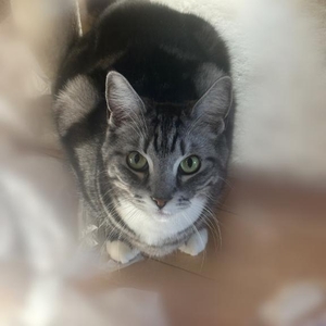 ( ･´ｰ･｀)ﾄﾞﾔｧ✨️