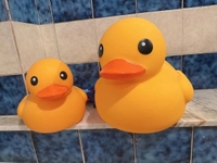 🐤